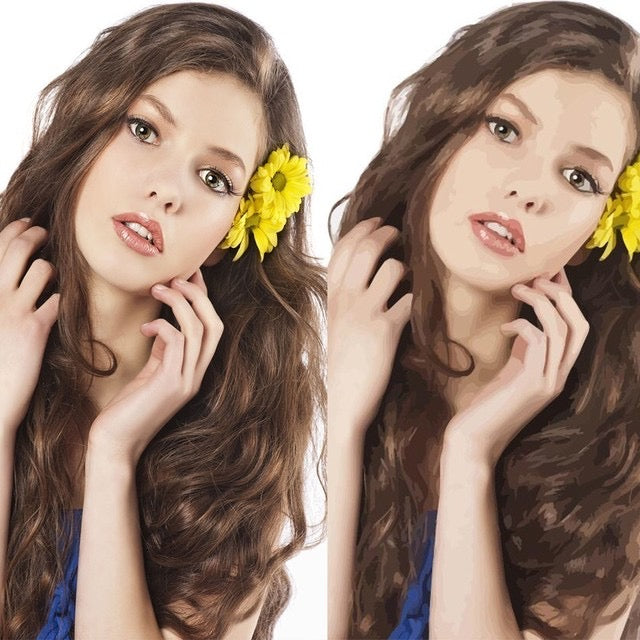 Custom Paint By Numbers