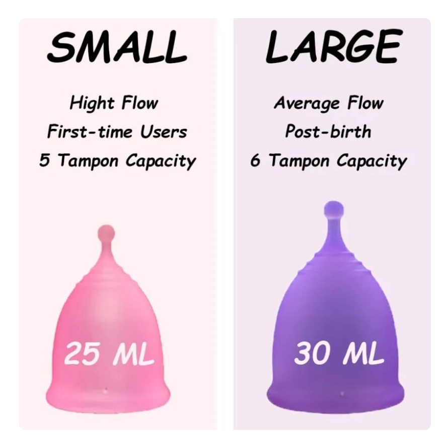 Menstrual Cup Steamer + 2 Menstrual Cups