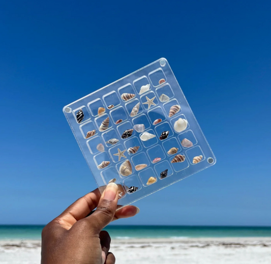 Seashell Display Case