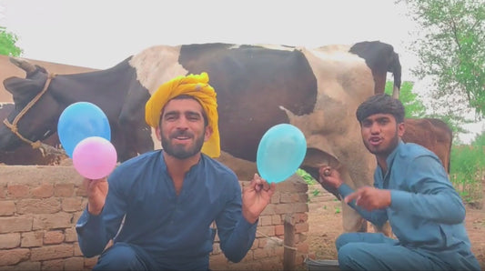 Funny Greeting Video